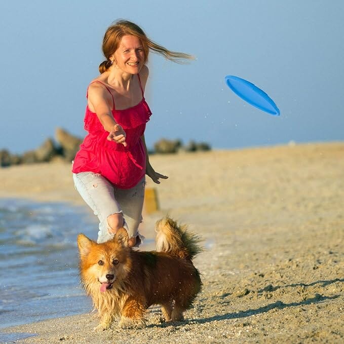 Frisbee Chien   FlyDog™ - Bleu  Jouetstoutou sur la plage