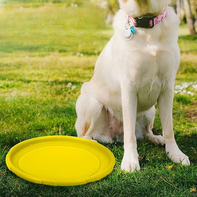 Frisbee Chien - FlyDog™ - Jaune - Jouetstoutou