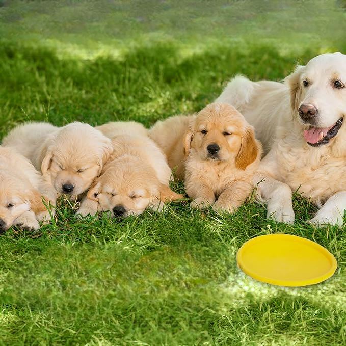 Frisbee Chien - FlyDog™ - Jaune - Jouetstoutou