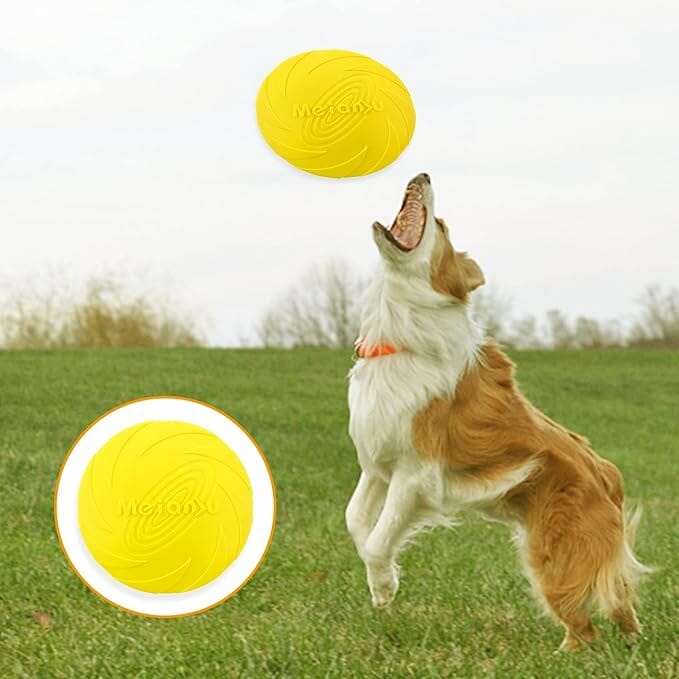 Frisbee Chien  FlyDog™  Jaune  Jouetstoutou dans le jardin