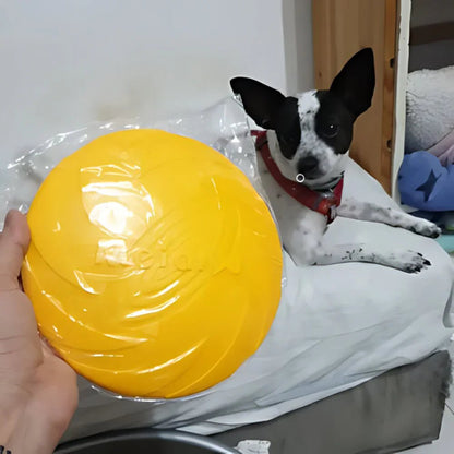 Frisbee Chien  FlyDog™  Jaune  Jouetstoutou en attente de son nouveau jouet