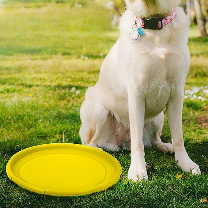 Frisbee Chien  FlyDog™  Jaune  Jouetstoutou je fais ma pause