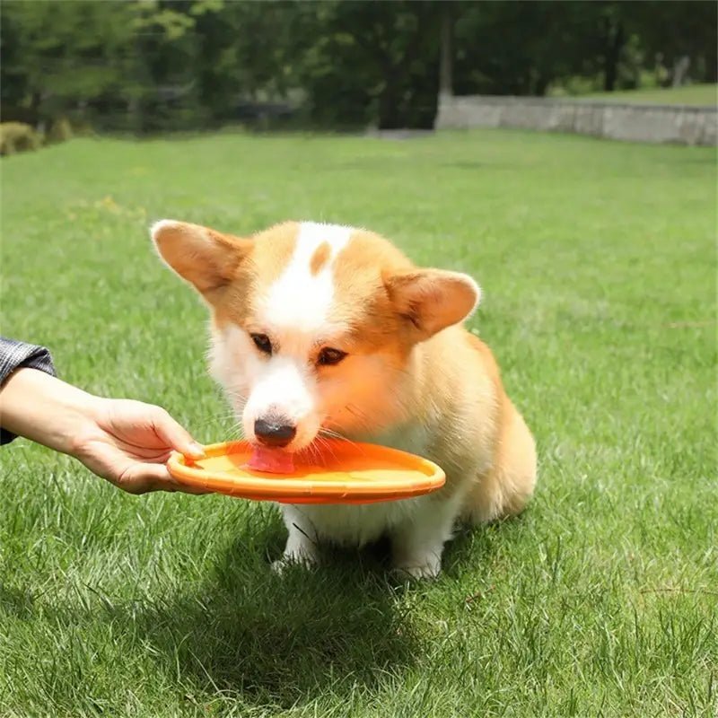 Frisbee Chien  FlyDog™  Orange dans-le jardin  Jouetstoutou