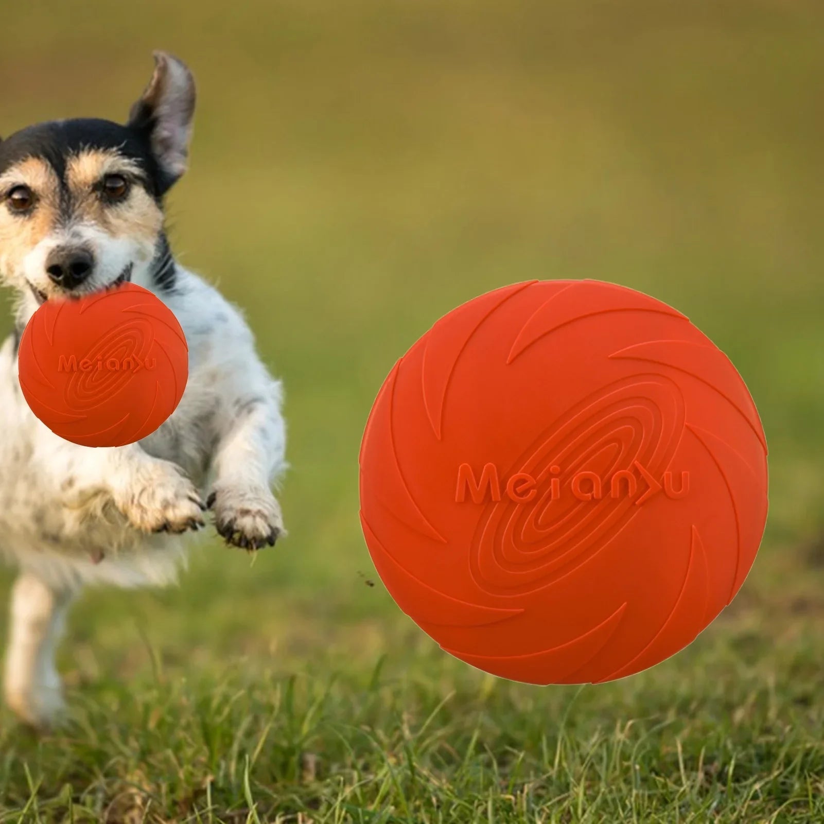 Frisbee Chien FlyDog™  Rouge chien heureux