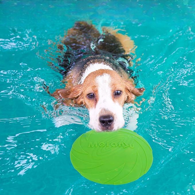 Frisbee Chien FlyDog™ Vert a la piscine Jouetstoutou