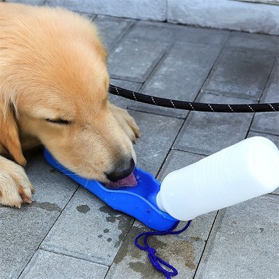 Gourde Portable pour Chien | PawHydrate bleu Jouetstoutou