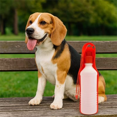 Gourde Portable pour Chien | PawHydrate rouge Jouetstoutou 
