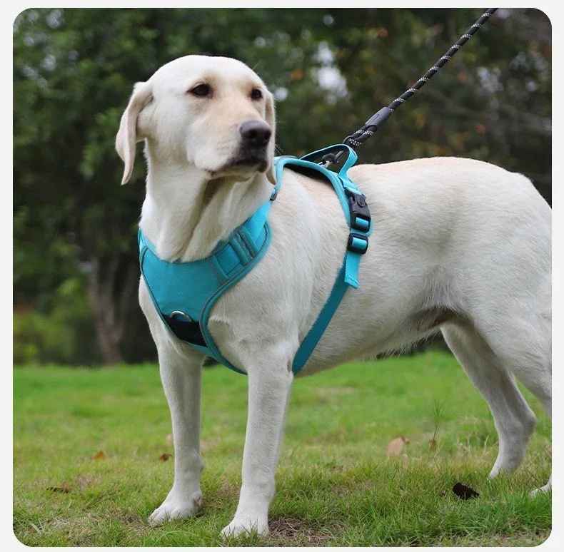 Harnais Anti - Traction Chien | PrimeComfort - Jouetstoutou