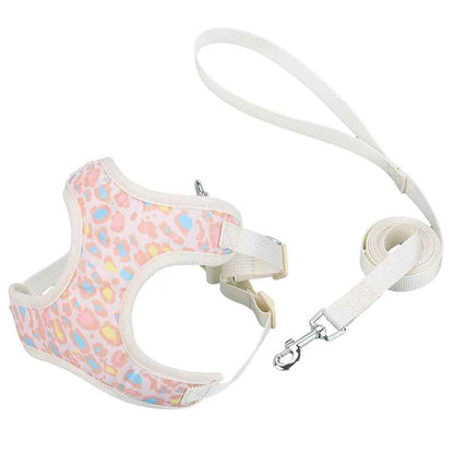 Harnais petit Chien | ComfortSecure - Jouetstoutou