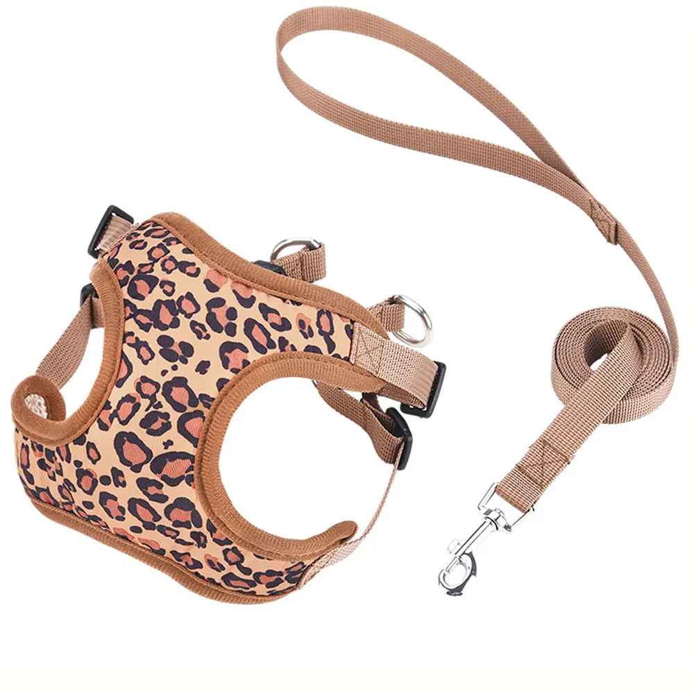 Harnais petit Chien | ComfortSecure - Jouetstoutou