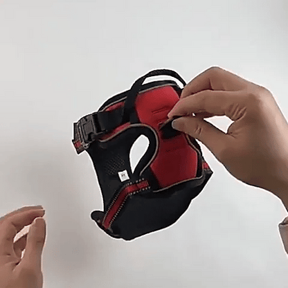 Harnais pour chien | Confort Sécurisé - Jouetstoutou