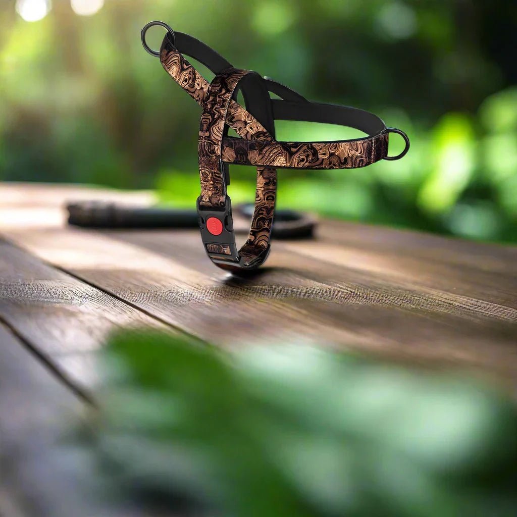 Harnais pour chien - DogSafeHarness™   Noir Dore   Jouetstoutou