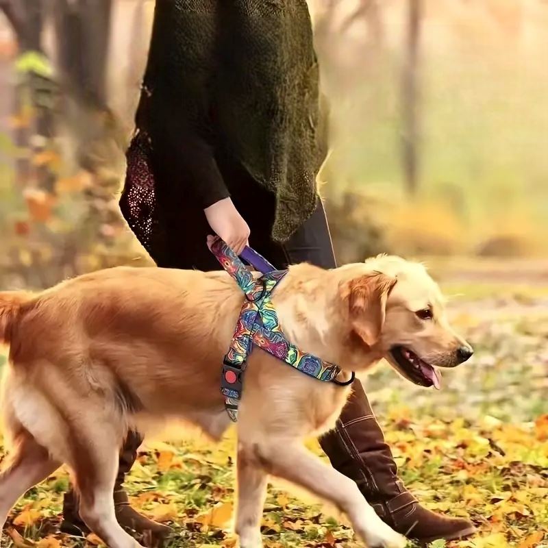 Harnais pour chien - DogSafeHarness™   Violet  Jouetstoutou en ballade dans les bois