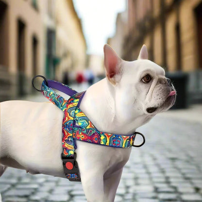 Harnais pour chien   DogSafeHarness™  Violet   Jouetstoutou toutes races