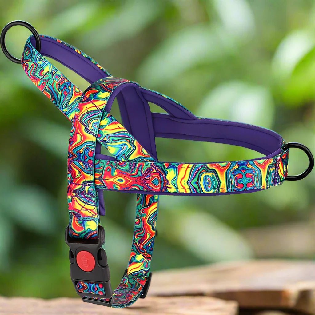 Harnais pour chien  DogSafeHarness™   Violet   Jouetstoutou