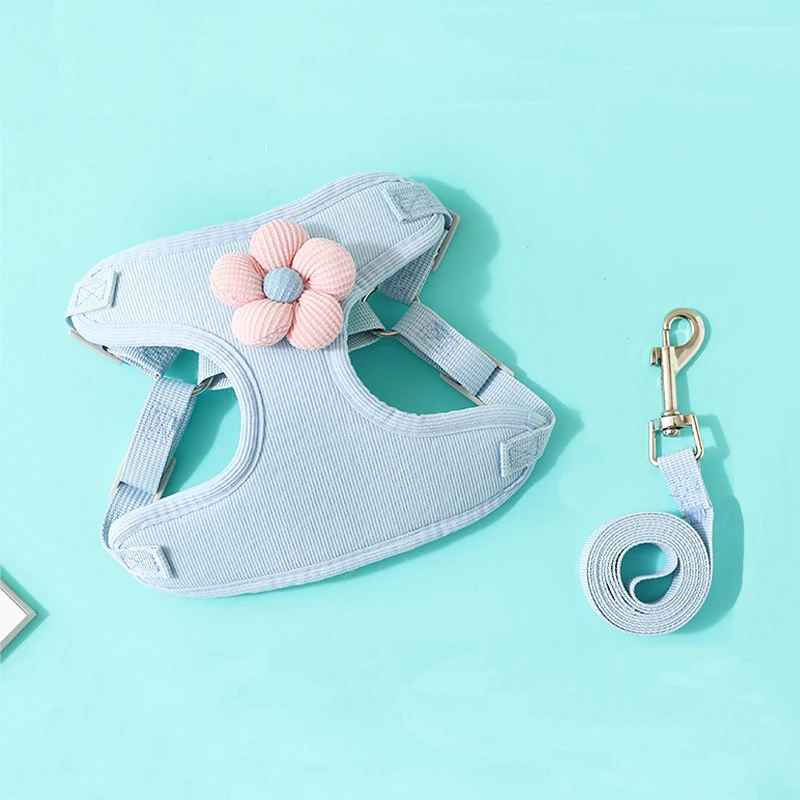 Harnais pour petit Chien | Confort Sécurisé - Jouetstoutou