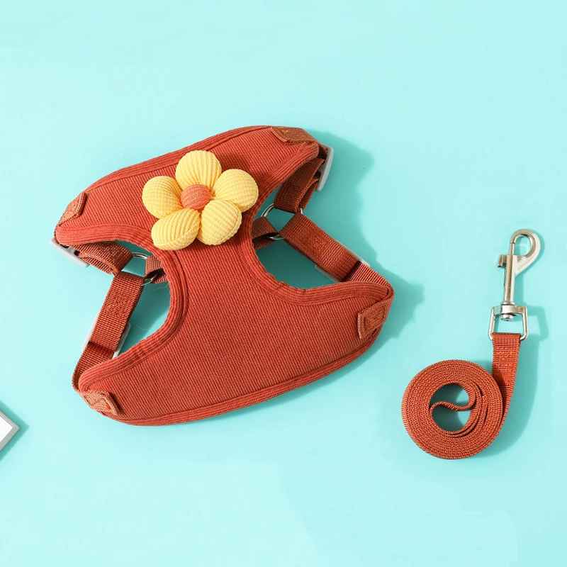 Harnais pour petit Chien | Confort Sécurisé - Jouetstoutou