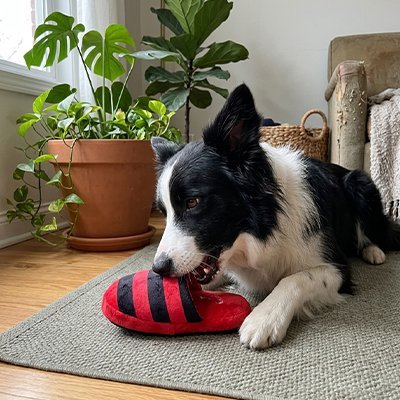 Jouet pour chiens | Résistant et Amusant™ - Jouetstoutou