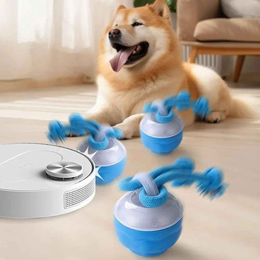 Jouets pour chiens | Balle Interactive USB Intelligente 8h - Jouetstoutou