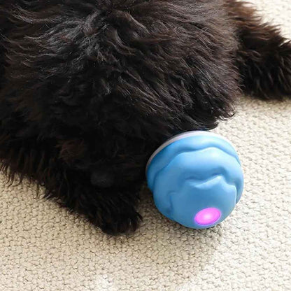 Jouets pour chiens | Balle Interactive USB Intelligente 8h - Jouetstoutou