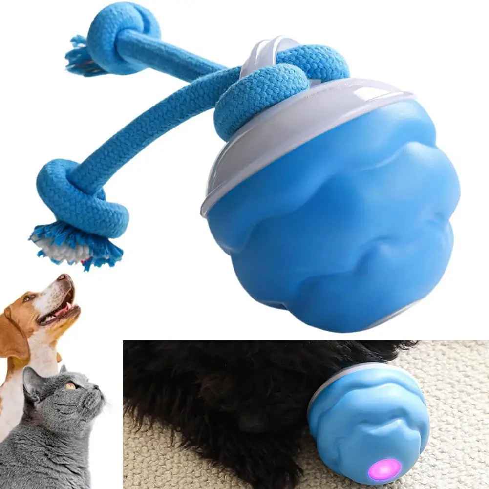 Jouets pour chiens | Balle Interactive USB Intelligente 8h - Jouetstoutou