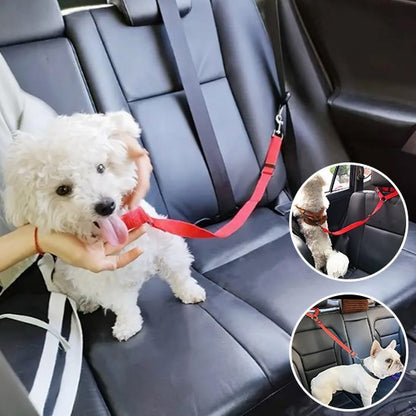 Laisse chien | Robuste et Confortable - Jouetstoutou