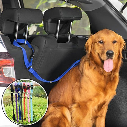 Laisse chien | Robuste et Confortable - Jouetstoutou