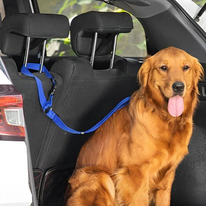 Laisse chien | Robuste et Confortable - Jouetstoutou