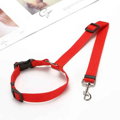Laisse chien | Robuste et Confortable - Jouetstoutou