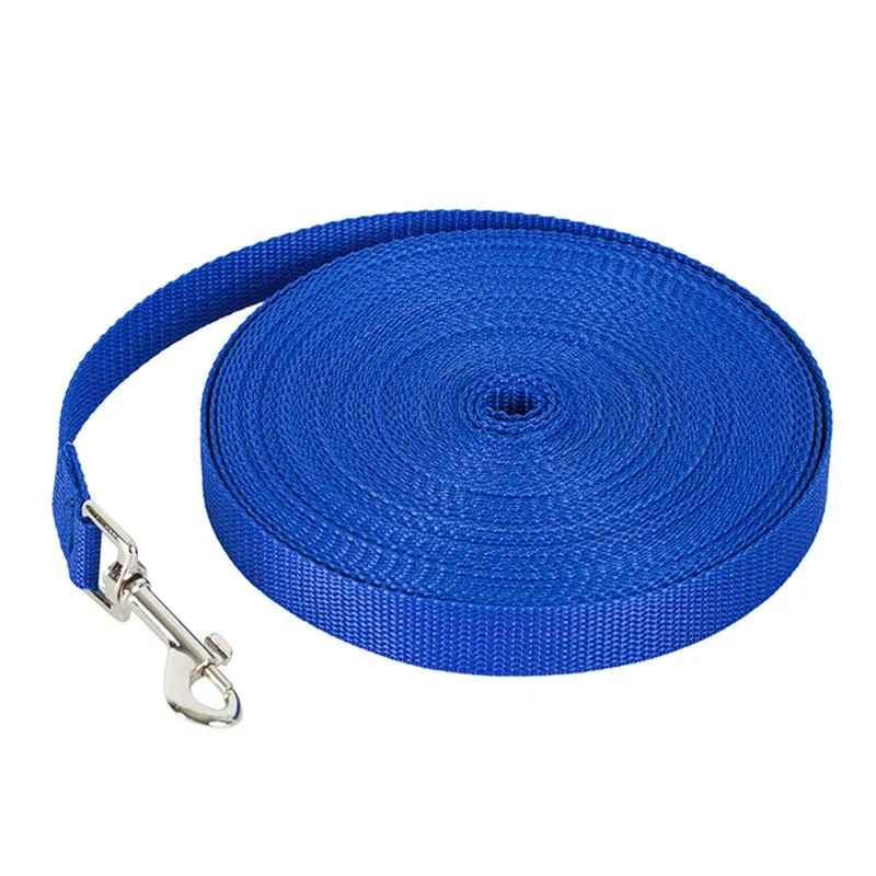 laisse couleur bleu