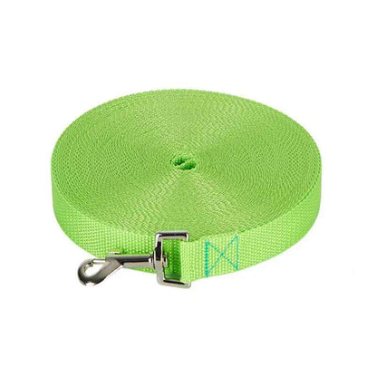 laisse couleur vert clair
