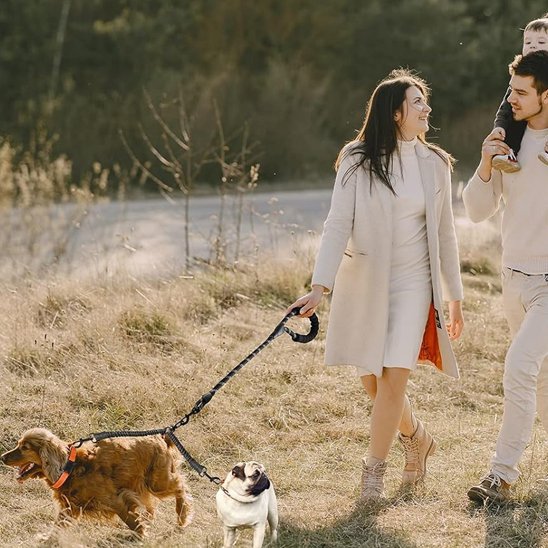 Laisse double pour chien | Confort et Contrôle - Jouetstoutou