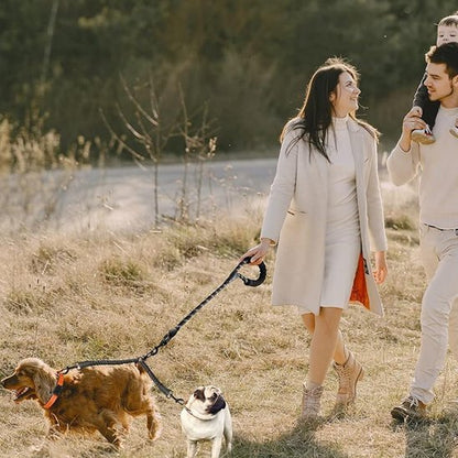 Laisse double pour chien | Confort et Contrôle - Jouetstoutou