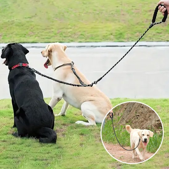 Laisse double pour chien | Confort et Contrôle - Jouetstoutou
