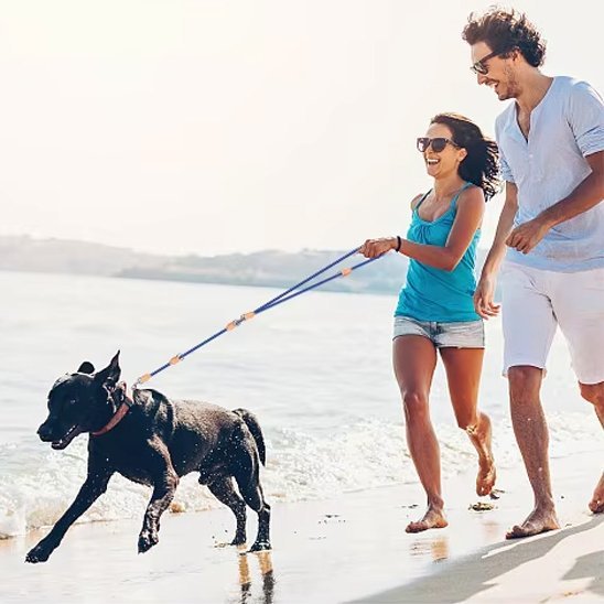 Laisse double pour chien | Confort et Contrôle - Jouetstoutou