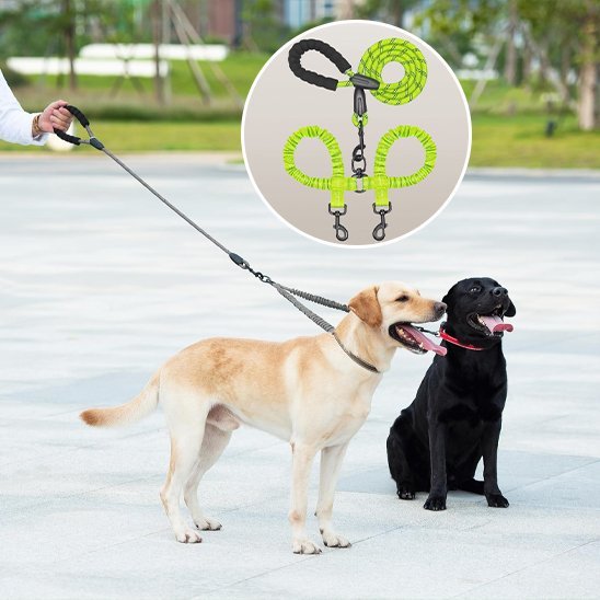 Laisse double pour chien | Confort et Contrôle - Jouetstoutou