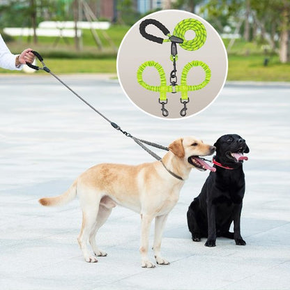 Laisse double pour chien | Confort et Contrôle - Jouetstoutou