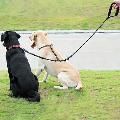 Laisse double pour chien | Confort et Contrôle - Jouetstoutou