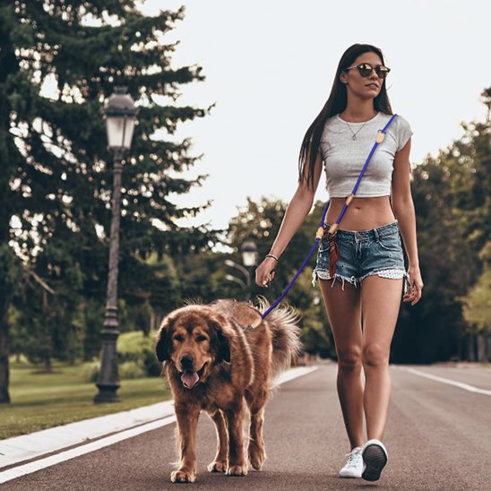 Laisse double pour chien | Confort et Contrôle - Jouetstoutou