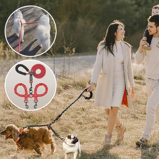 Laisse double pour chien | Confort et Contrôle - Jouetstoutou
