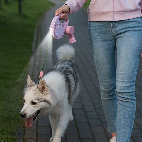 laisse pour chien enrouleur | dog laisse - Jouetstoutou
