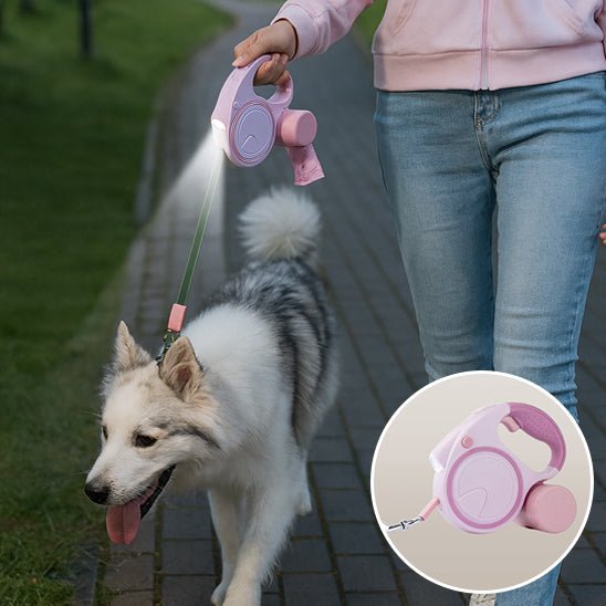 laisse pour chien enrouleur | dog laisse - Jouetstoutou