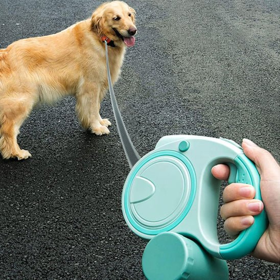 laisse pour chien enrouleur | dog laisse - Jouetstoutou