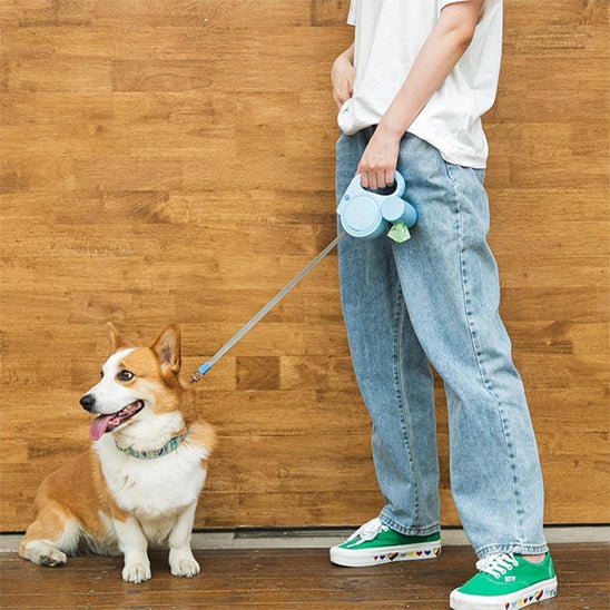 laisse pour chien enrouleur | dog laisse - Jouetstoutou
