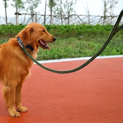 Laisse pour Chien Ergonomique | PawComfort - Jouetstoutou