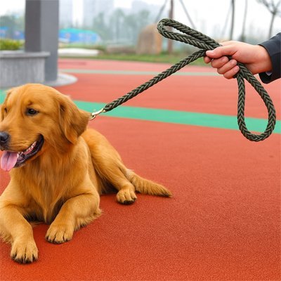 Laisse pour Chien Ergonomique | PawComfort - Jouetstoutou