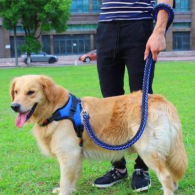 Laisse pour Chien Ergonomique | PawComfort - Jouetstoutou