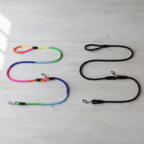 laisse pour chien gif