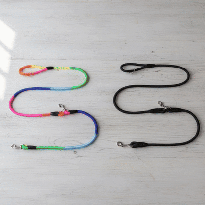 laisse pour chien gif