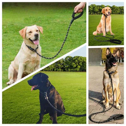 laisse pour chien | securilaisse - Jouetstoutou